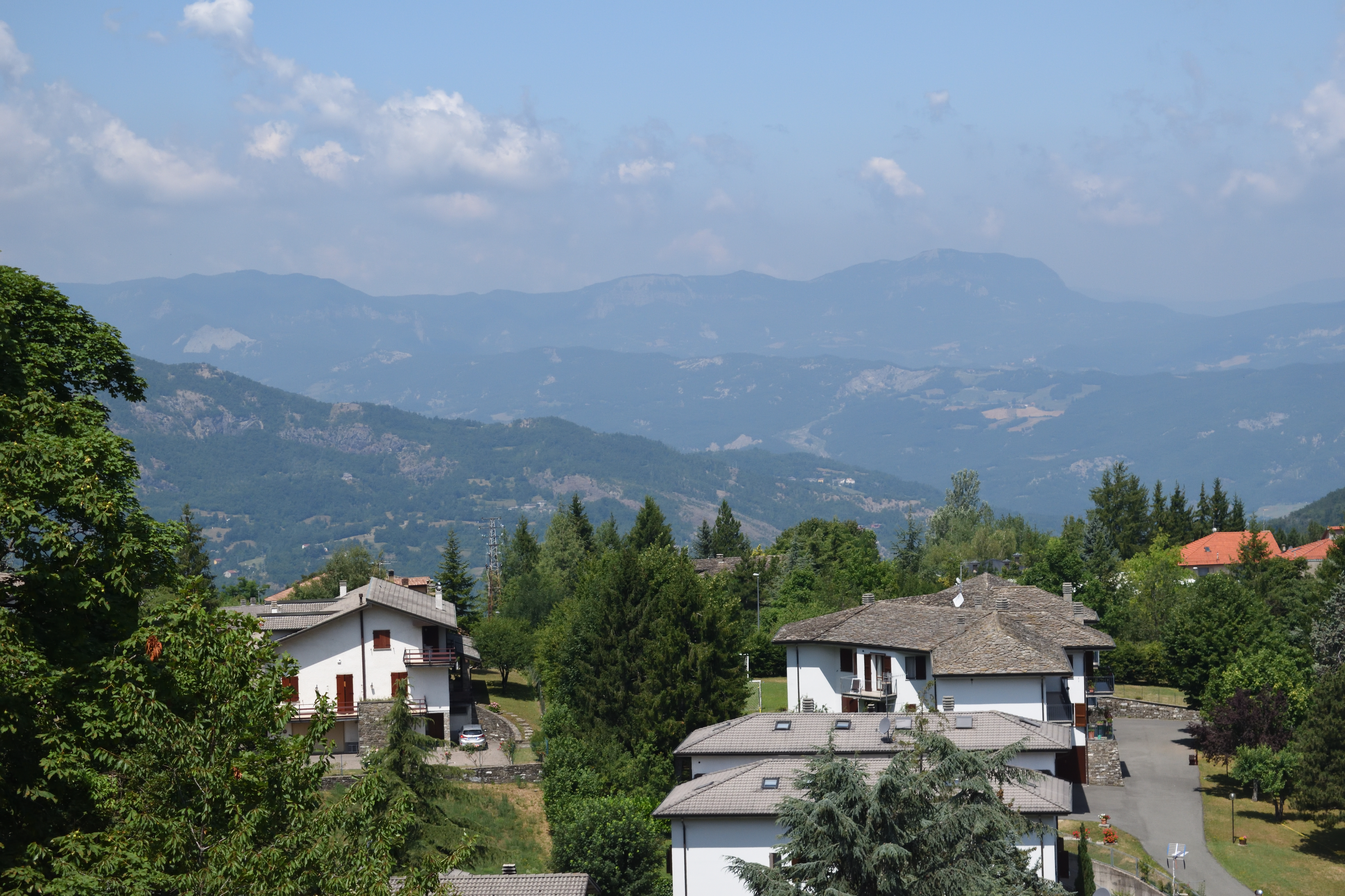 NK1_3221.jpg